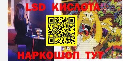 мдпв Владимир