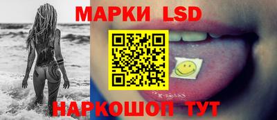 мдпв Владимир